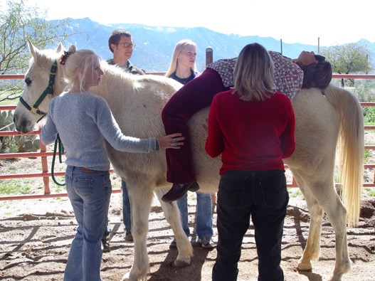 The human and horse connection provides insight into the magic of how one can heal when provided consistent supportive and positive experience from non-judgement and being in the present moment.